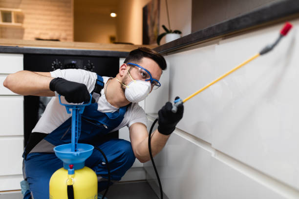 Best Wasp Removal Services  in Simmesport, LA