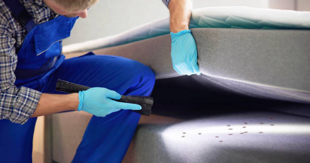 Best Pest Removal Services  in Simmesport, LA
