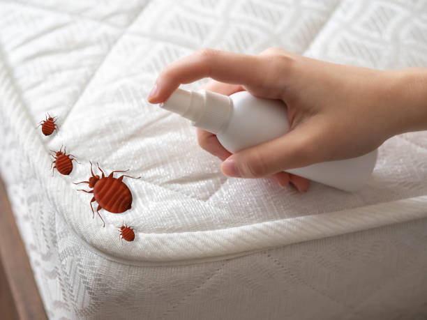 Best Emergency Pest Control  in Simmesport, LA