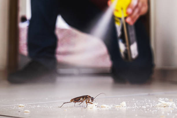 Best Bed Bug Extermination  in Simmesport, LA