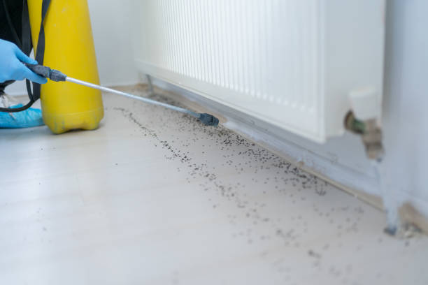 Best Residential Pest Control  in Simmesport, LA