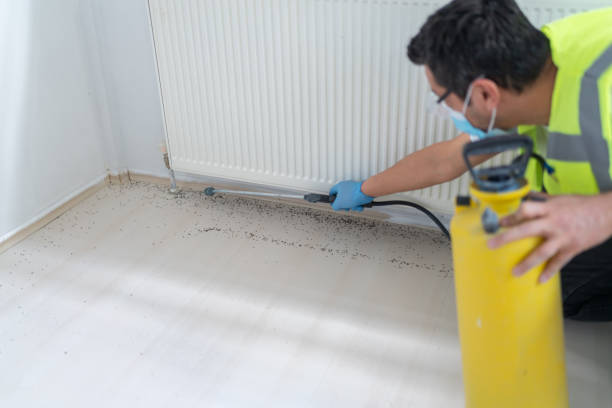 Best Exterminator Services  in Simmesport, LA